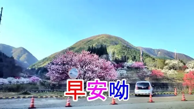 早安-快樂的馬車-花-音樂