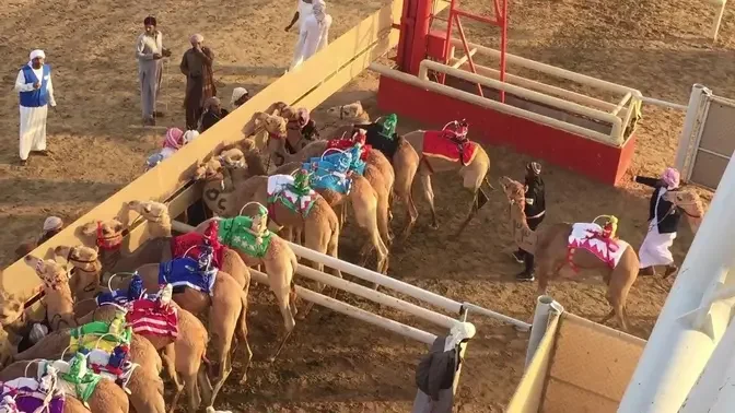 Al Marmoom Camel Racing - Dubai