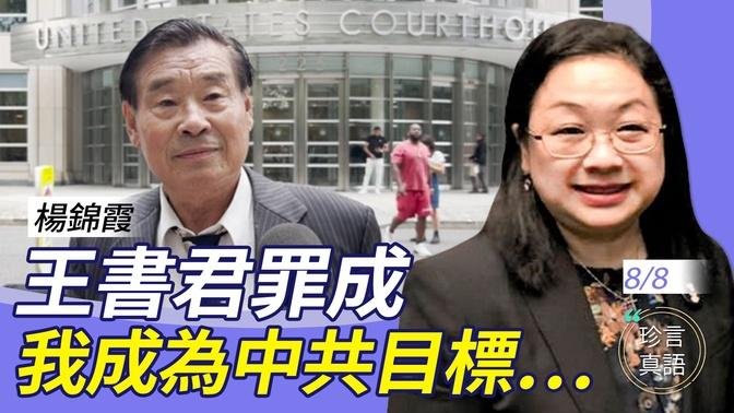 杨锦霞：我和何俊仁资料被送中！间谍无所不在！王书君案之反思，海外华人要与中共切割【珍言真语 梁珍 8.8】