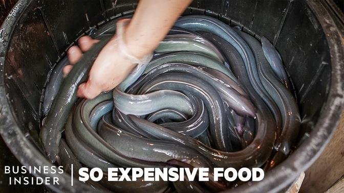 Why 4 Of The World's Priciest Seafoods Are So Expensive _ So Expensive Food _ Business Insider