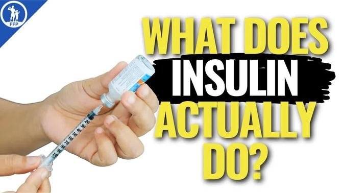 What is Insulin? - (Hormone Series Part 2 of 3)