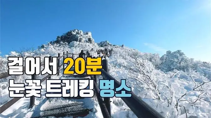 딱 20분만 걸어도 겨울왕국☃️❄️낭만을 찾아서. 👍우리나라 최고의 눈꽃을 즐길 수 있는 곳. 놓치면 후회합니다