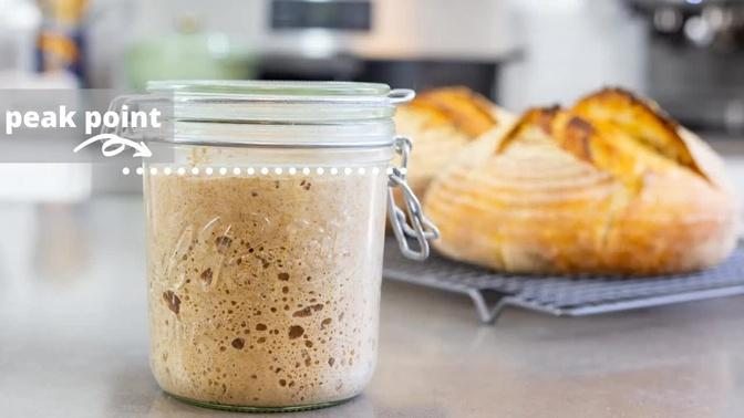 Understanding Sourdough Starter | feeding, ratios, leaven, when to use, what to feed