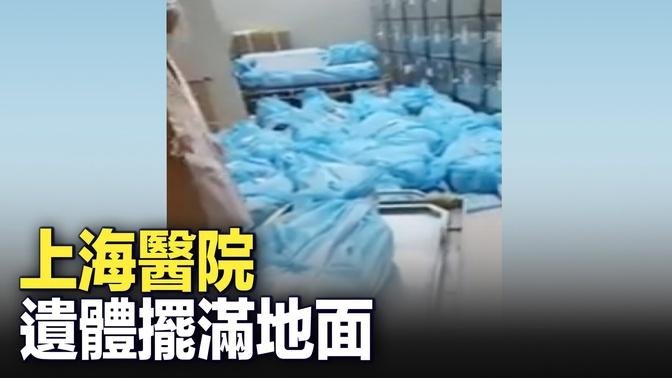 12月24日上海醫院，好多屍體。