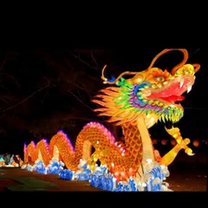 Amazing Light Festival! 20%OFF! Coupon: H20 