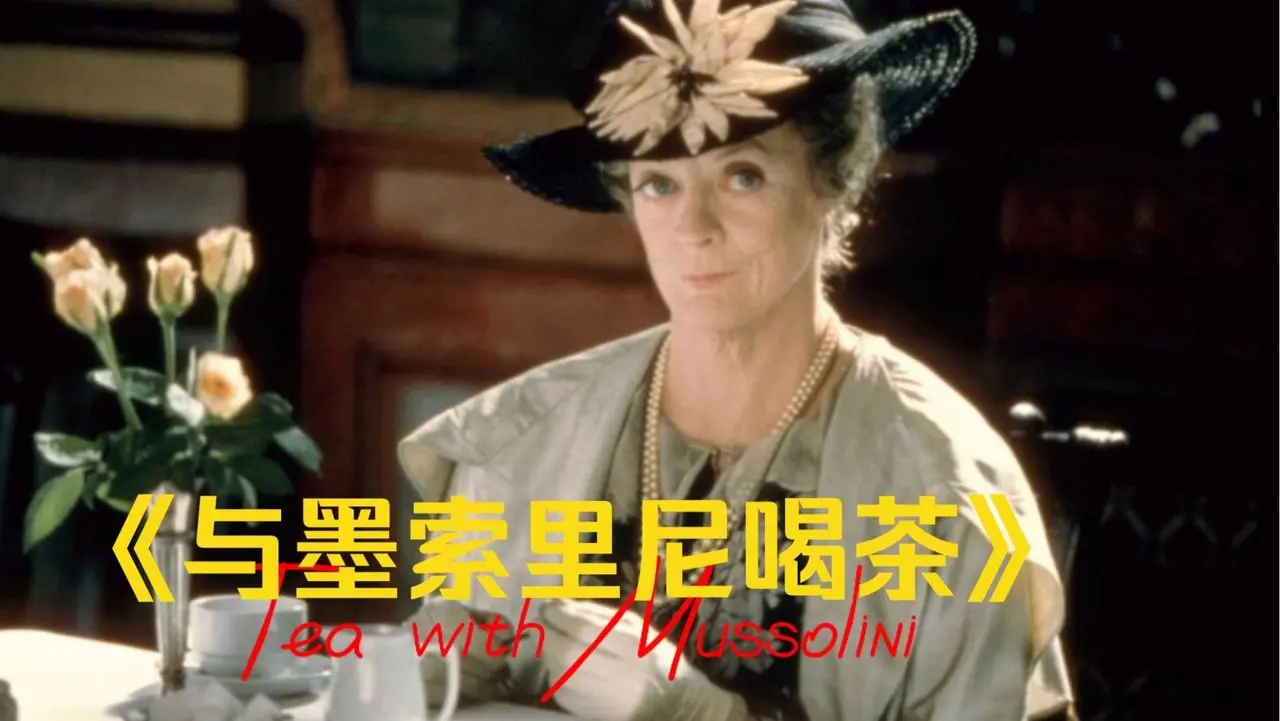 《与墨索里尼喝茶》：被片名耽误了的好电影，被这群毒舌又善良的英国老太太撩到了，老太太们太好，意大利的翡冷翠太美，以至于让人忘记了战争的残酷