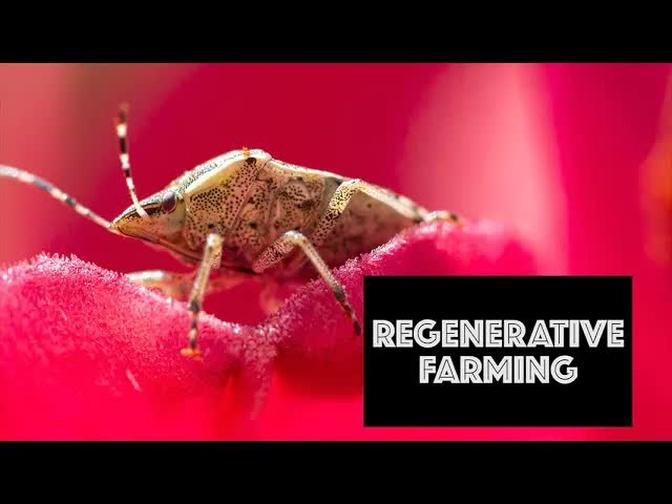 Regenerative Farming | Conservation Biological Control