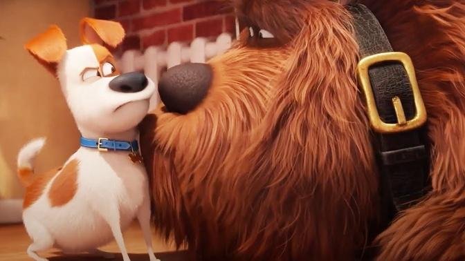 The Secret Life of Pets (2/9) | The New Dog | Cartoons For Kids