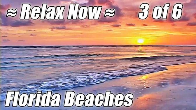 FLORIDA Ocean Sunset Video Relaxation Relaxing Waves Sounds BEACHES #3 Relax Sea Noises Bradenton