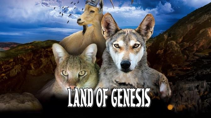 Land of Genesis