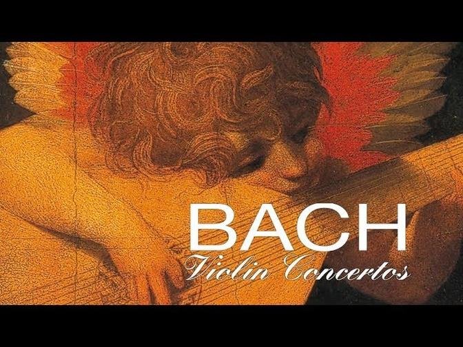 J.S. Bach_ The Violin Concertos