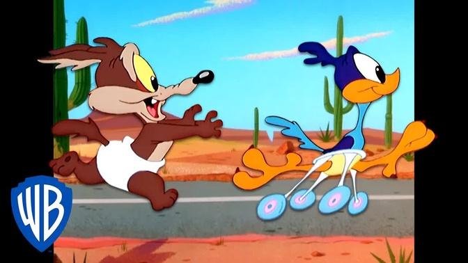 Looney Tunes | Baby Coyote and Baby Roadrunner | Classic Cartoon | WB Kids