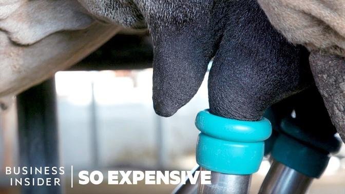 Why Camel Milk Is So Expensive | So Expensive