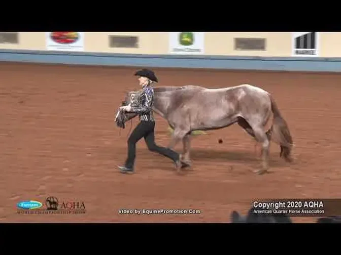 2020 AQHA Showmanship