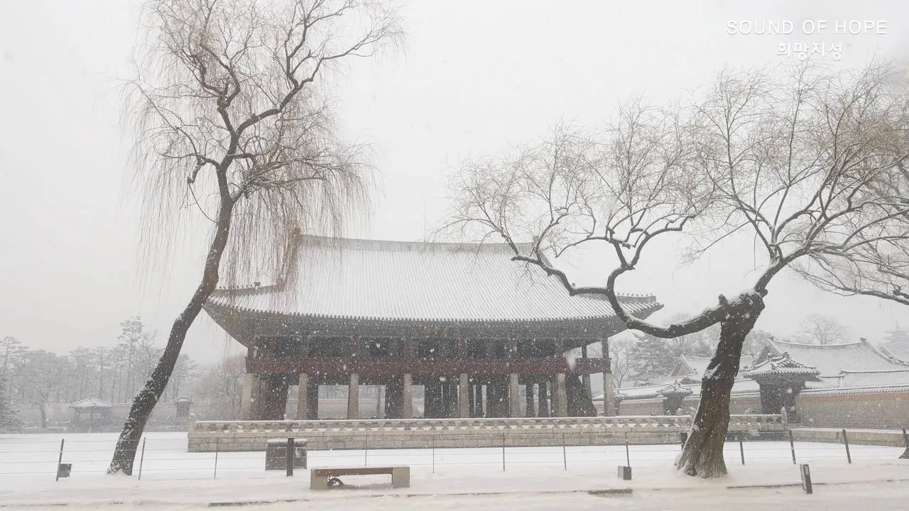 #winterbeauty 경복궁 설경(景福宮 雪景)