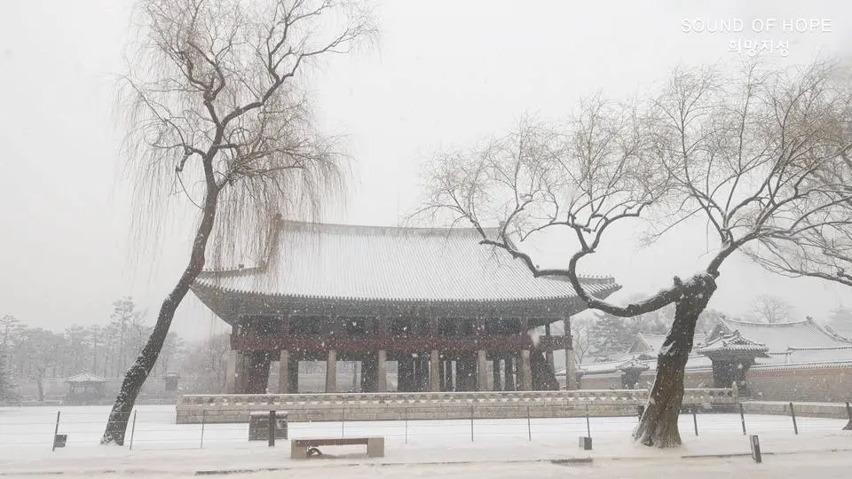 #winterbeauty 경복궁 설경(景福宮 雪景)