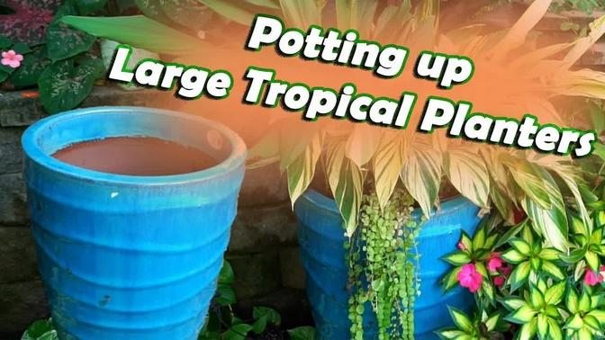 Tropical Planters With Houseplants
