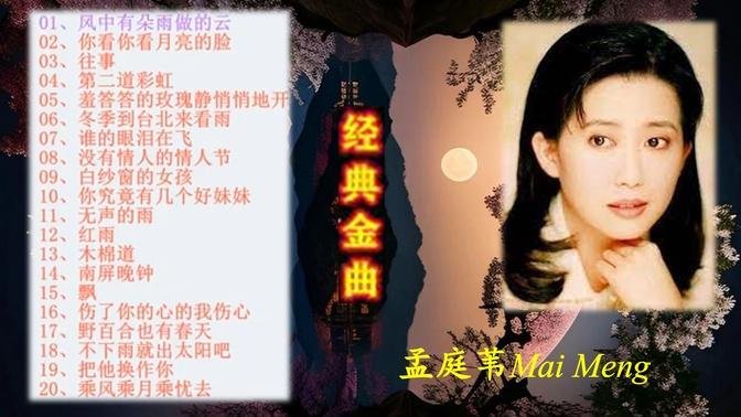 孟庭葦經典金曲20首 Ting-Wei Meng Best Songs 《誰的眼淚在飛》《風中有朵雨做的雲》《羞答答的玫瑰靜悄悄的開》《冬季到台北來看雨》……