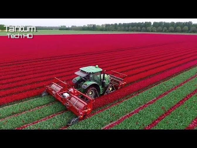 Amazing Modern and High Level Farming Machines like you've never seen ▶ 13