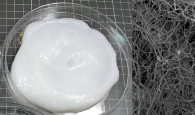 Nanocellulose Market Size, Business Growth Insights 2024-2027