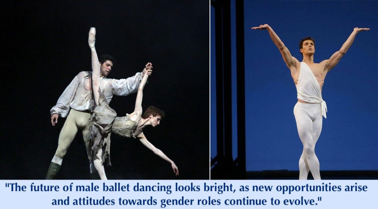 What is a male ballet dancer called Exploring the Role of Male Ballet