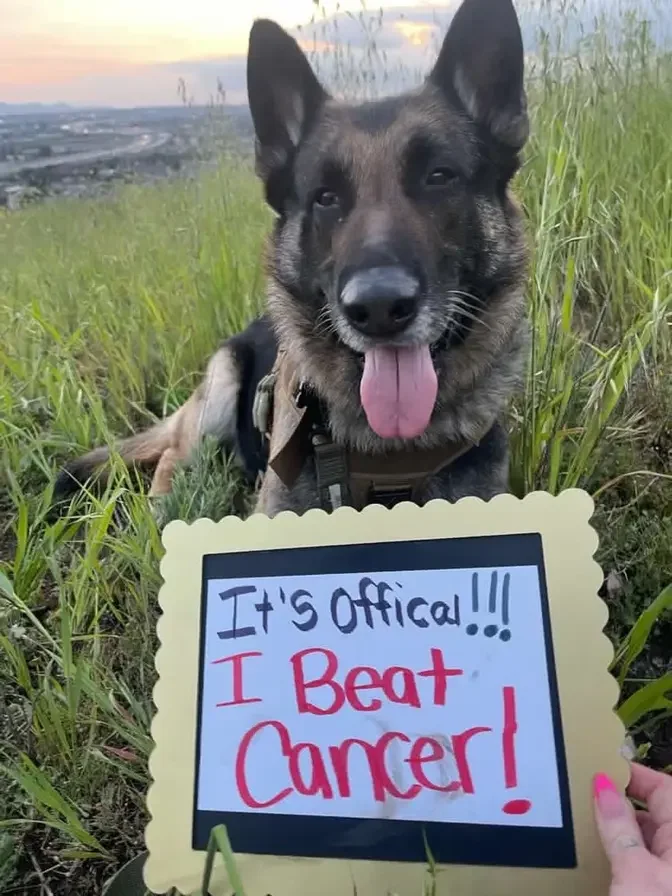 Cooper with the signboard that he beat cancer. 