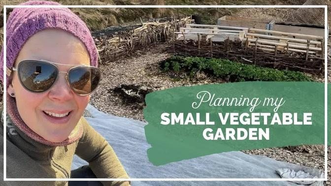 Small Vegetable Garden - My plan