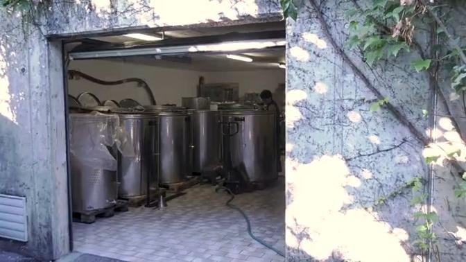 Les coulisses des vendanges #vin #vendanges #vignes #oenologie #valais #suisse