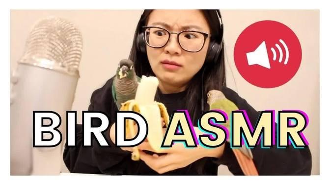 ASMR Birds | ASMR Eating with MY Parrots