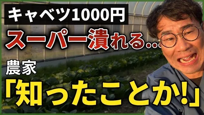 野菜高騰は食糧危機の幕開けか