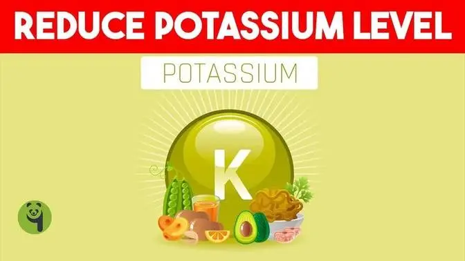 What Foods To Eat If You Have High Potassium 
