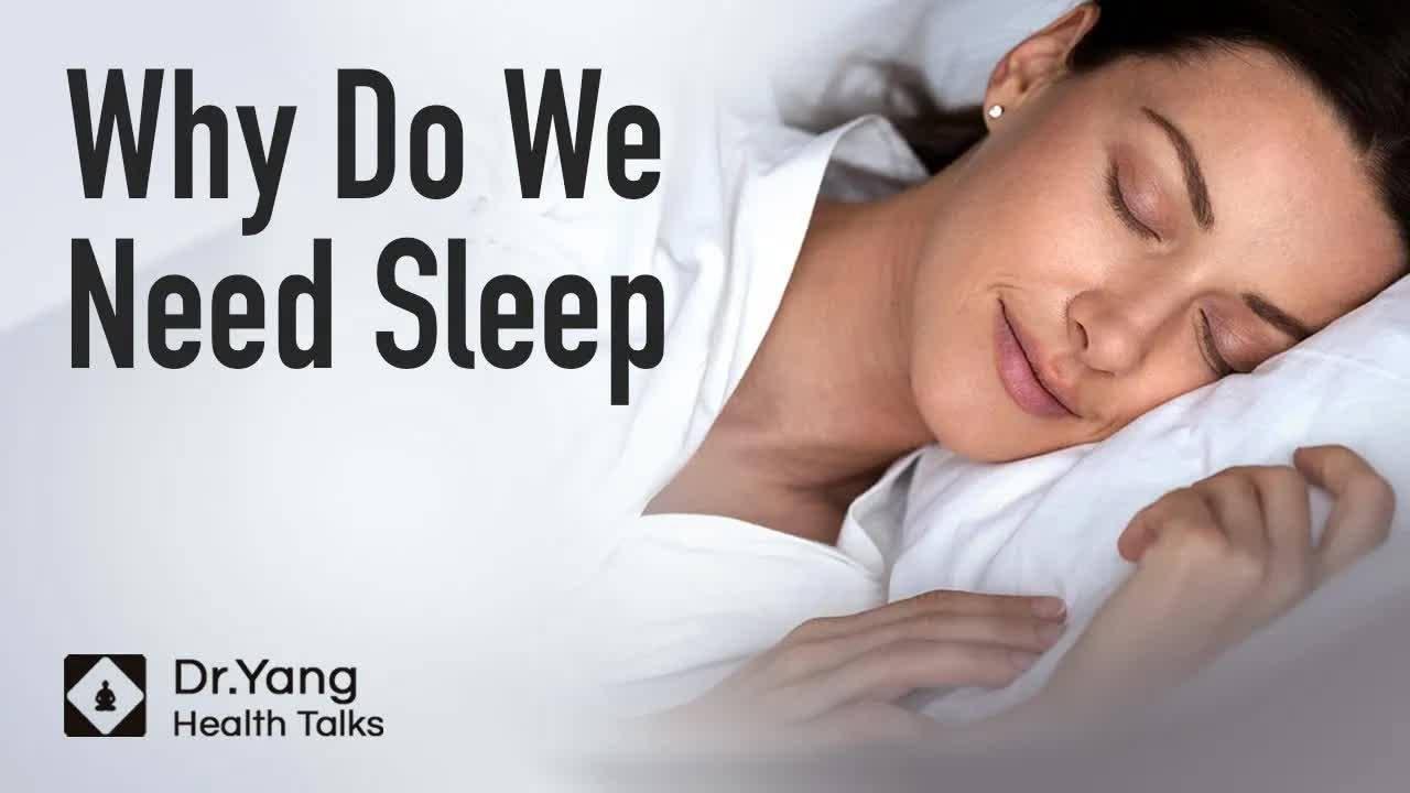Why do we need sleep? What happens during sleep?