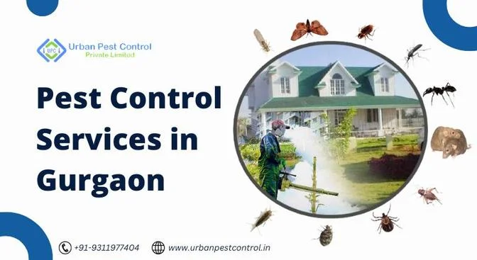 Pest Control Services in Gurgaon