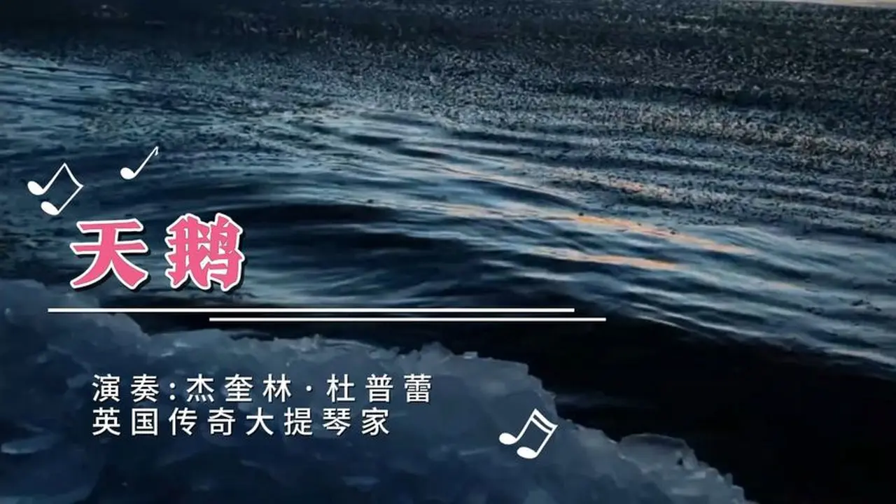 ♫ 英國傳奇大提琴家杰奎林·杜普蕾《聖桑:天鵝》，唯美浪漫傷感