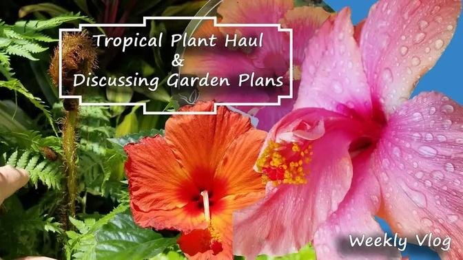 Tropical Plant Haul || Planning This Year's Garden