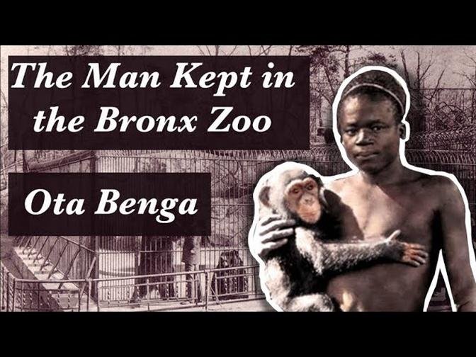 The Tragic but Fascinating Story of the Pygmy Kept in the Bronx Zoo