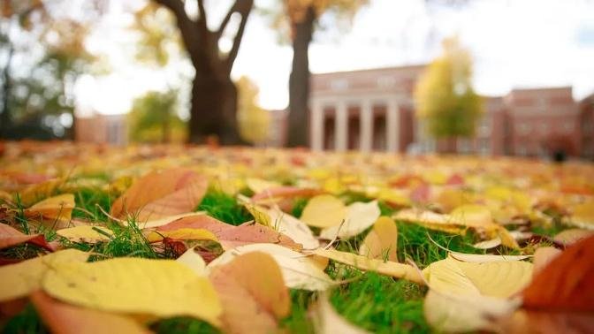 UA's Campus in the Fall | The University of Alabama