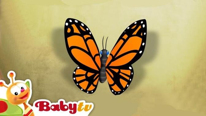 Butterfly | Riddle Games With Animals | BabyTV