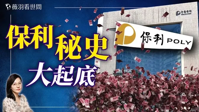 军火巨头被整肃！保利集团的暴富秘史。｜薇羽看世间 20240914