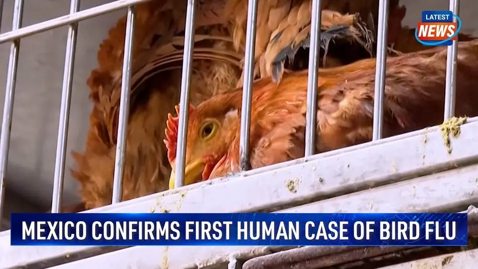Mexico Confirms First Human Case of Bird Flu