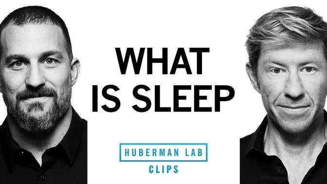 What is Sleep? | Matt Walker & Andrew Huberman