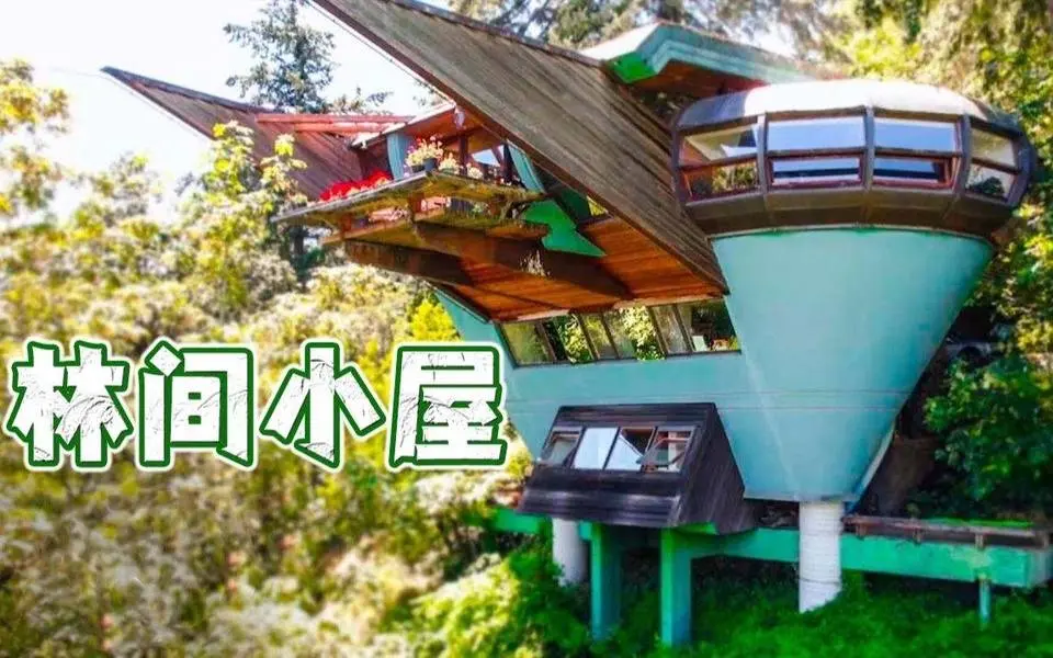 梦想中的林间小屋——融入大自然的豪华“树顶”别