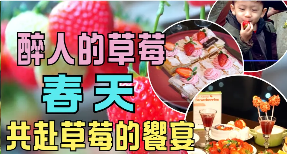 【你好韩国】醉人的草莓 春天 共赴草莓的飨宴