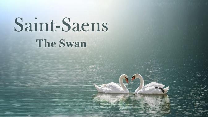 Saint-Saens: The Swan from "The Carnival of the Animals"