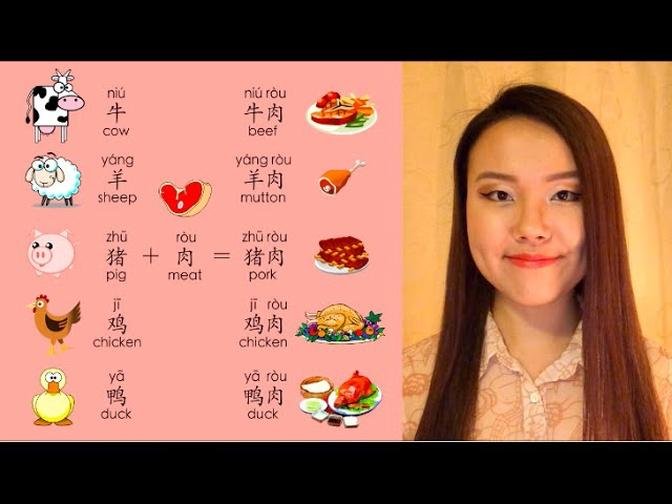 Learn Mandarin Chinese Vocabulary Lesson: How to say meat, beef, pork, chicken, duck, mutton, lamb,