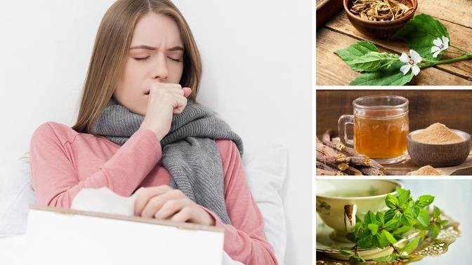 7 Best Herbal Teas to Soothe Coughs and Clear Phlegm