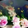 喜欢阅读