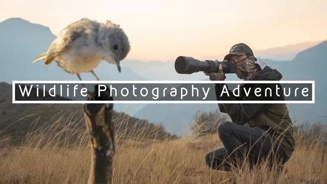 Capturing Birds at Sunrise | WILDLIFE PHOTOGRAPHY ADVENTURE