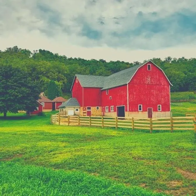 Our Big Farm