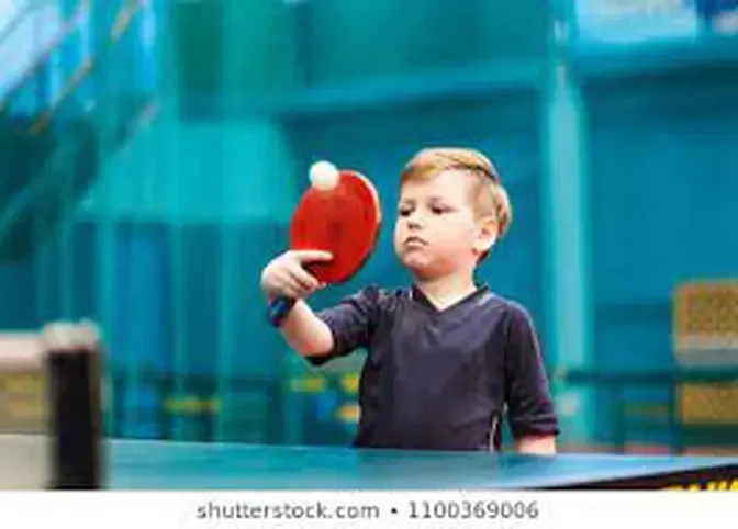 funny ping pong